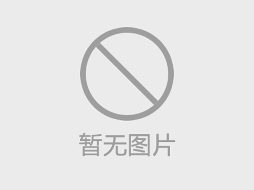 新鄉(xiāng)學(xué)校圍墻護(hù)欄?鋅鋼圍墻護(hù)欄?鋅鋼護(hù)欄鐵藝圍欄工廠(chǎng)